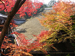 客殿の屋根と紅葉